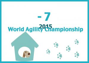 11096381_605941429507839_2283721381222330731_o