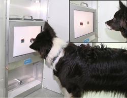 11357_2015_9866_Fig1_HTML-3a7056d3