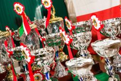 12255346_10207098001041107_887005571_o-2985518c