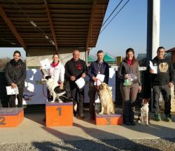 12745615_811596858984144_2862733894661693410_n-032b4c36