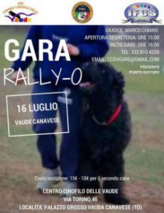 13606476_10206836495215845_6955513934600782649_n-b5ade871