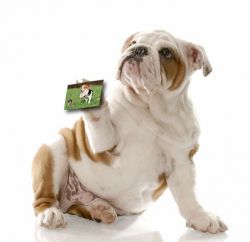 311dca65de1ebda0e8dccae7e2748796-copia-baa8771f-1