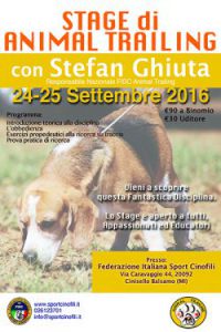 animal-trailing-0f450211