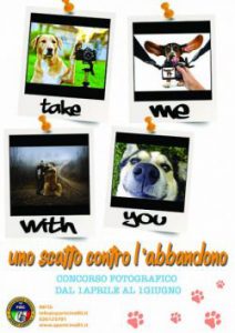 concorso-fotografico3-2-a1fc427f-1