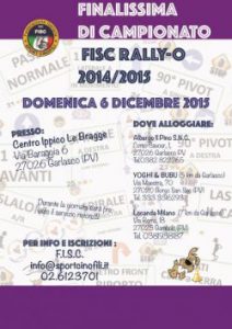 finale2015_rallyo3-1-f7b85d59