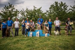 foto-gruppo-67a886c1