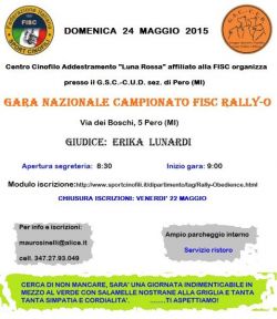 gara-rally-o-24-05-2015-volantino-bis-a3158ac6
