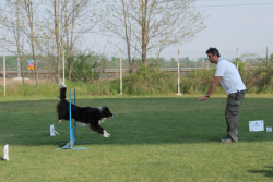 gara_busignetto1-cbdffab7