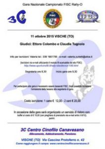 gara-rally_o_vischeto-64034999