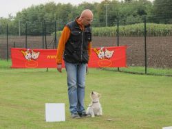 img_7315-jpg-52fdddfc