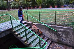 irene-e-cooper-8gallery-f2a4c92d