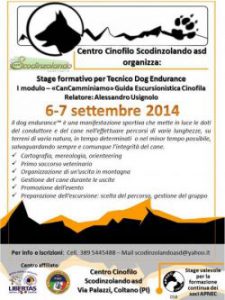 locandina-dog-endurance-541ec25d