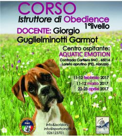 obedience_aquatic-e585121c