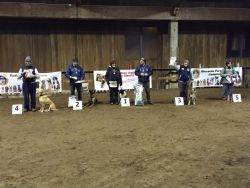 premiazionel3b-a221ed55