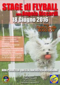 stage_flyball_18giugno-f963e9bb