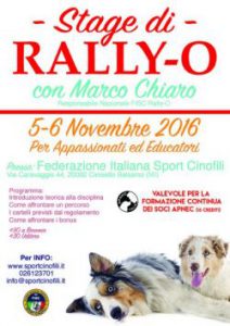stage_rally-o_5-6nov-a823bf24