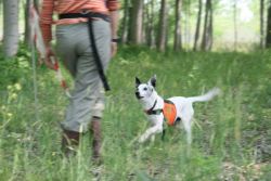 schumi-allenamento-prove-naturali-jpg-600f98de