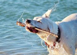 spiaggia-emilia-romagna-c82a48c6