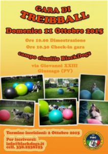 treiball_11ottobre2-1-dbabf36e
