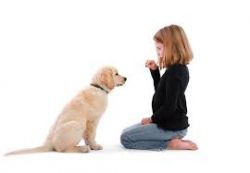 child-and-dog-de128f28