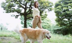 dog-and-girl-38db805c