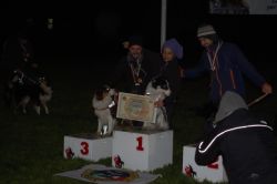 finale_disc-e5a987b6