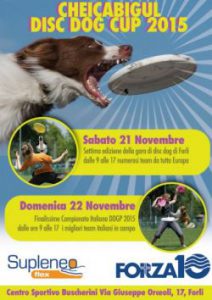 flyer_disc_dog_cheicabigul_2015_web_1-abd88703