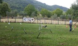 foto-rally-o-c16c0dbf