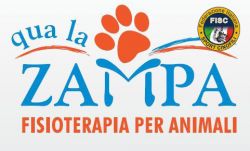 logo_fisc_qualazampa-b2d0677c