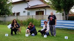 olcenengo_foto1-67a2559a