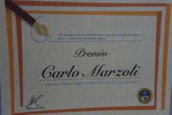 rally_disconness-8f18e567