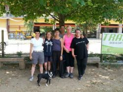 rally_project-1289fef7