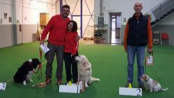 rally_rodano-636d1306