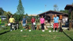 rally_verderio-16364204