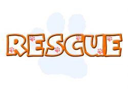 rescue-df66c814