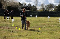 revolution.JPG-d601a708