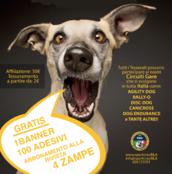 rinn2017_1-5-c5d38463