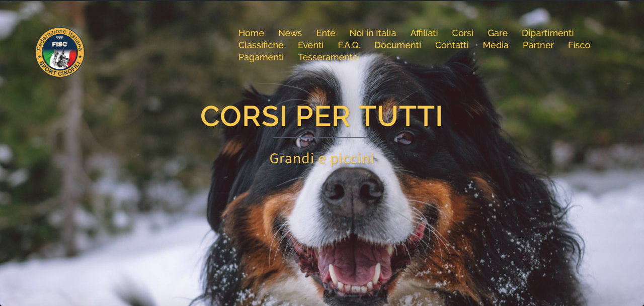 schermata-2016-10-04-alle-12-07-24