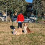 PXL_20251214_102130359.MP